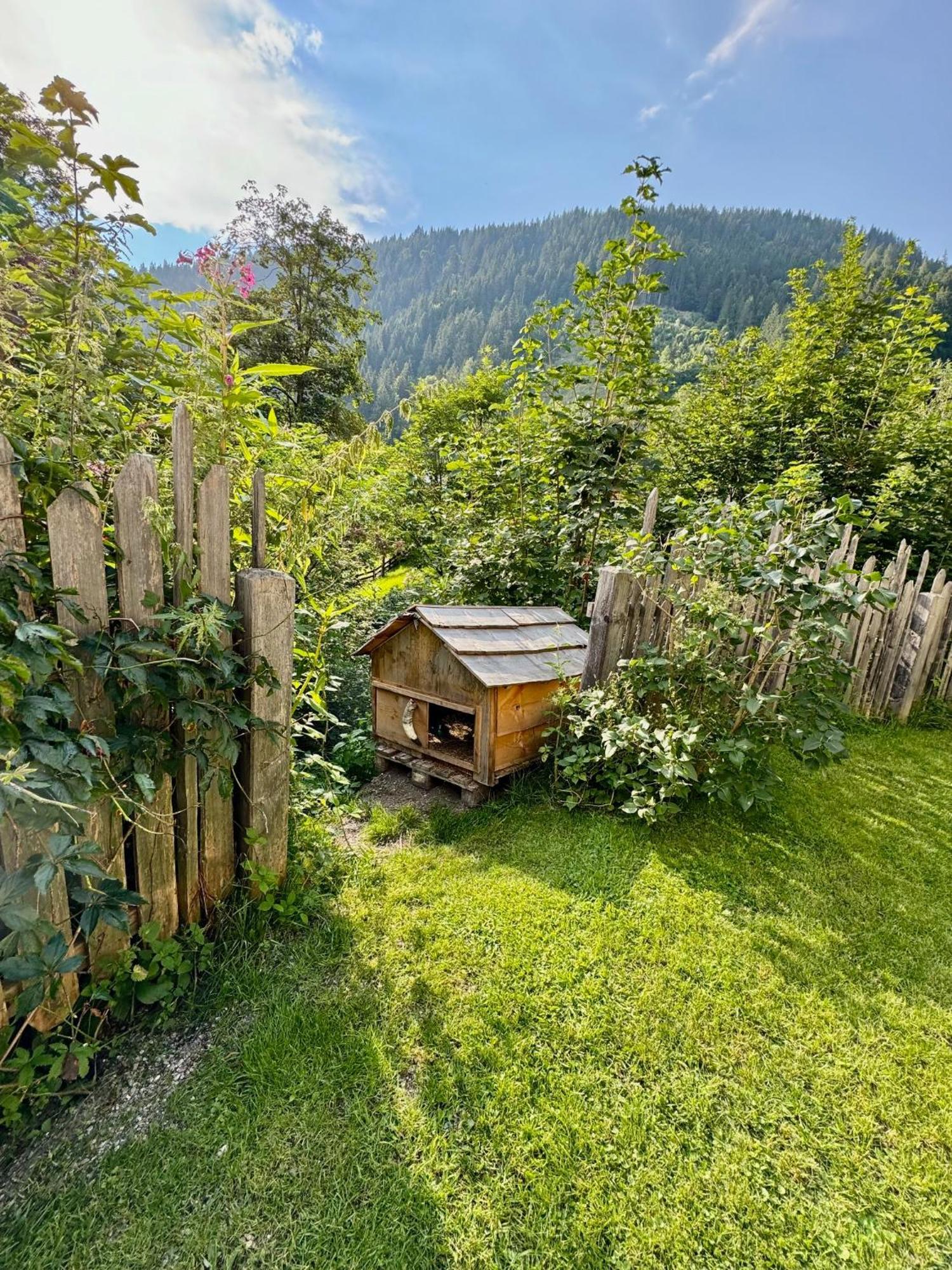 Appartement Haensel & Gretel Werfenweng Luaran gambar